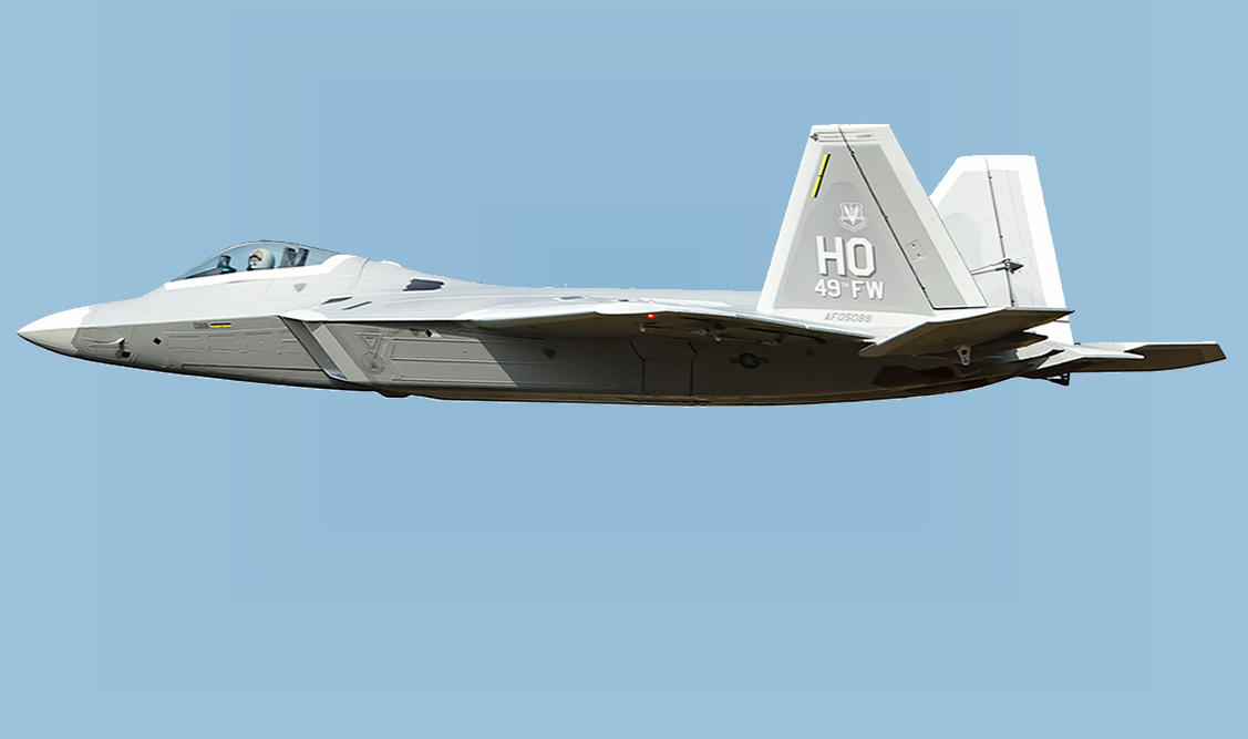 Freewing F-22 Raptor PNP 80mm EDF Jet 