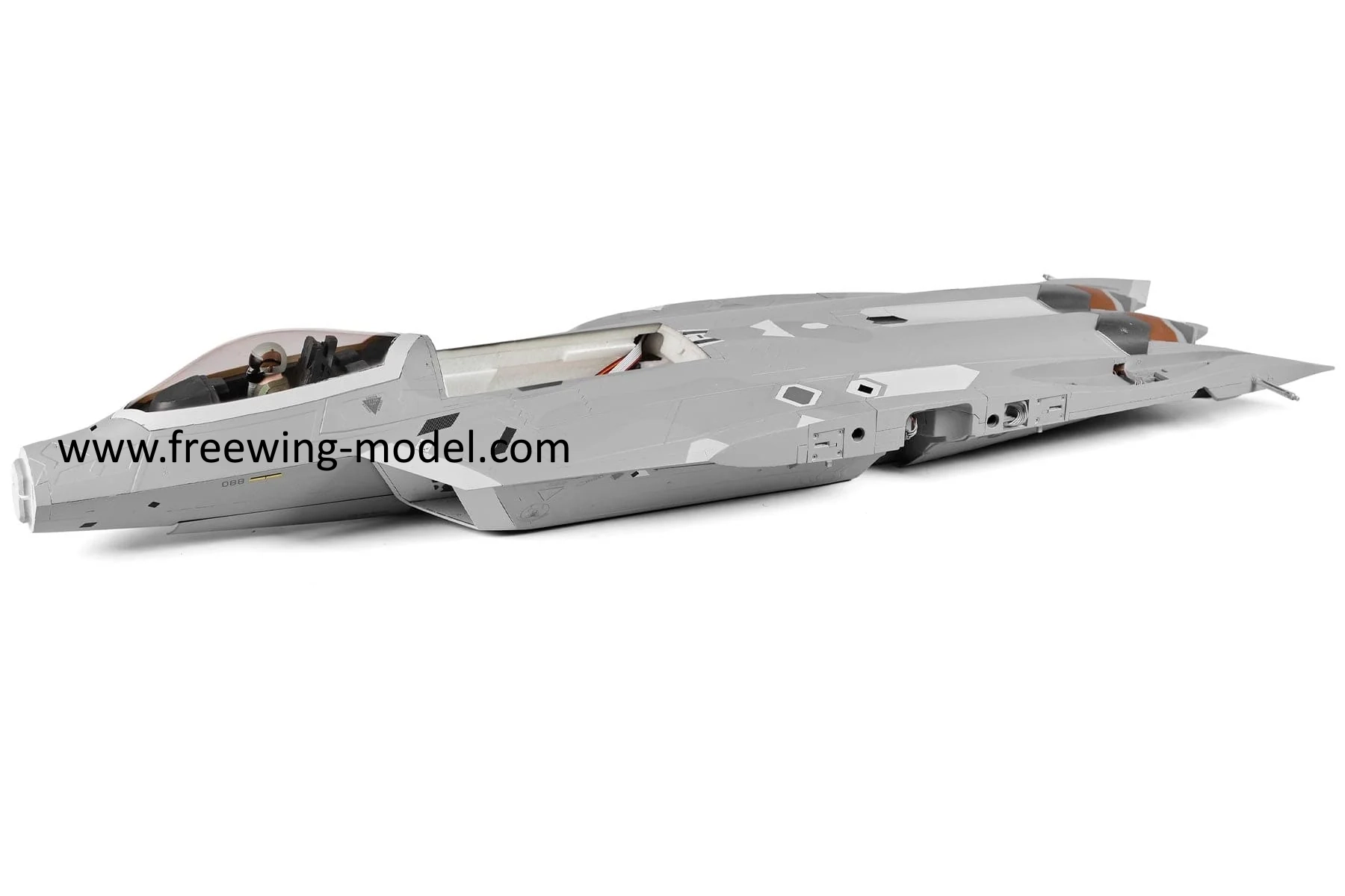 Freewing 80mm F-22 Raptor Fuselage